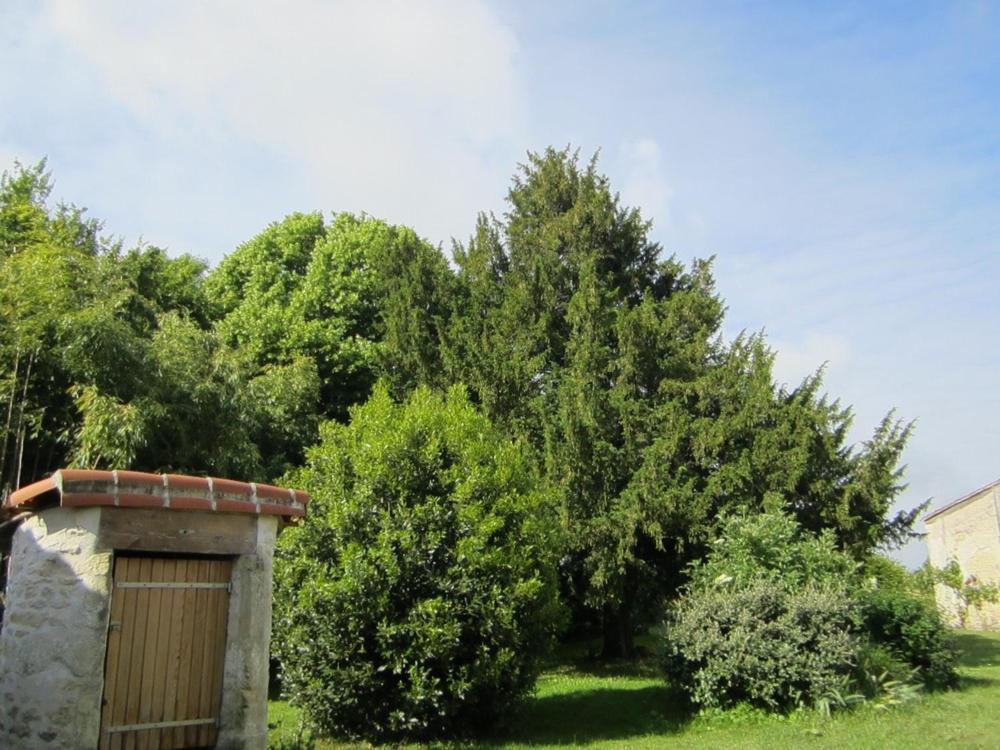 Bed and Breakfast Les Cagouilles Virson Экстерьер фото